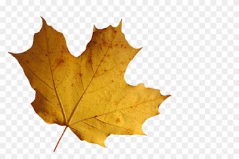 70aa8b0e - Maple Leaf