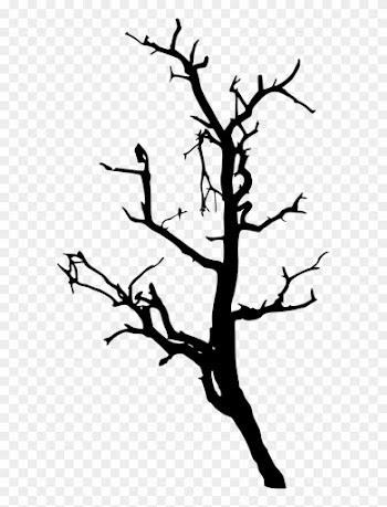 733 × 1500 Px - Tree