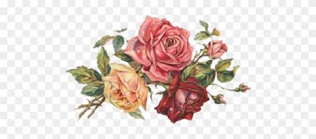 757 - Rose Love Vintage Label