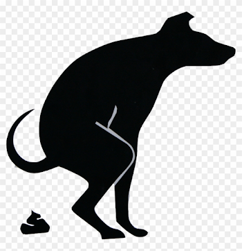 798 X 788 9 - Dog Poo Png, Transparent Png - 798x788(#2008624 ...