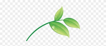 8 Images Of Eco Leaf Logo - Go Green Leaf Png