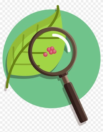 8 Nature Vs Nurture Articles To Support Your Persuasive - Nature Vs Nurture Transparent