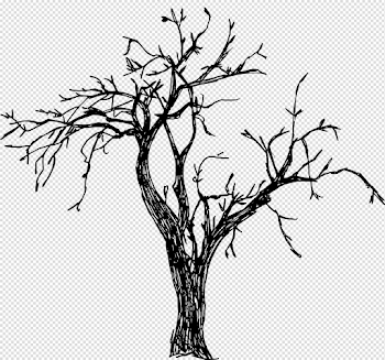8 Tree Drawing (PNG Transparent) | OnlyGFX.com