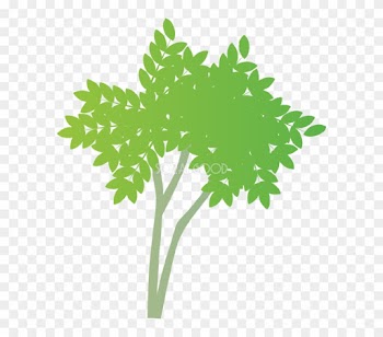 おしゃれな木 ニガキ無料イラスト81487 - Palm Tree
