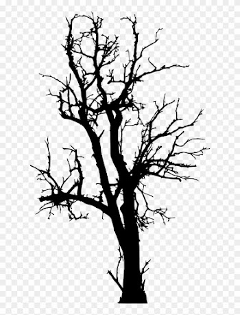837 × 1500 Px - Tree