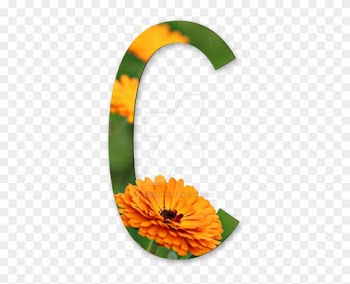 894 X 894 3 - Alphabet Flowers Png