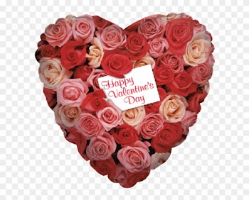 9" Airfill Rose Garden Te Quiero - Mylar Balloons Foil