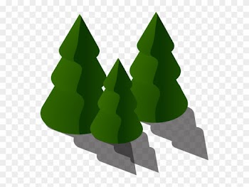 91m Metric Tons Of Carbon Removed Annually - Christmas Tree