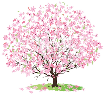 98+ Cherry Blossom Tree Clip Art | ClipartLook