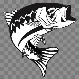 999+ Fish Clipart Black and White [Free Download]- Cloud Clipart