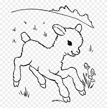 A Baby Sheep Is Called A Lamb Coloring Pages - Baby Lamb Coloring Pages