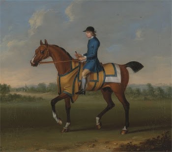 A Bay Racehorse with Jockey | Free Photo - rawpixel
