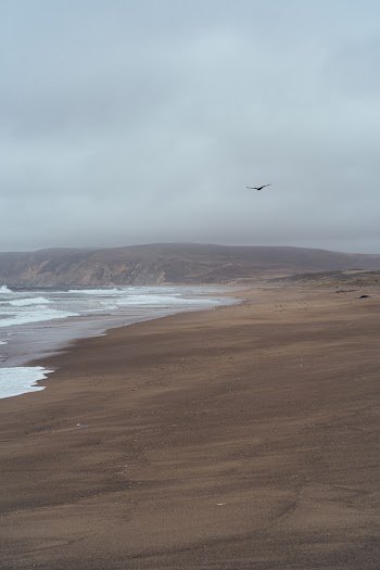 A Bird Flying Over The Seashore Under White Clouds
