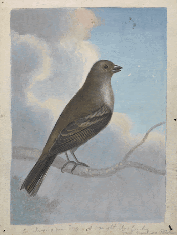 A Bird, painting in high | Free Photo - rawpixel