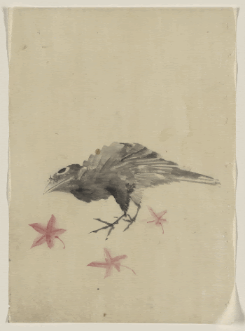 [A bird, possibly crow or | Free Photo - rawpixel