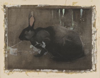 A Black Rabbit | Free Photo - rawpixel