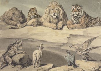A Boar, a Leopard, a Lion, | Free Photo - rawpixel