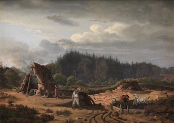 A bog at Høsterkøb with peat | Free Photo - rawpixel
