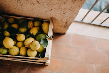 A Box Full Of Lemons