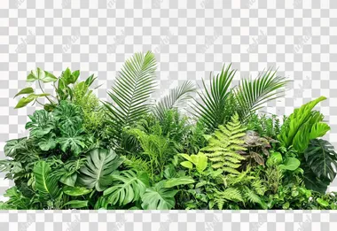 a bunch of plants that are on a table