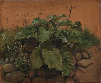 A Burdock and Other Plants | Free Photo - rawpixel