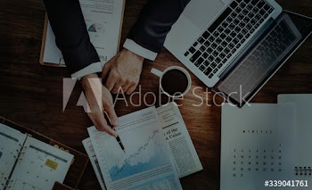 A business data analyst