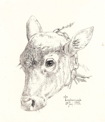 A calf's head by Johan | Free Photo - rawpixel