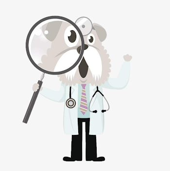 A Cartoon Dog Doctor With A Magnifying Glass, Cartoon Clipart, Dog ...
