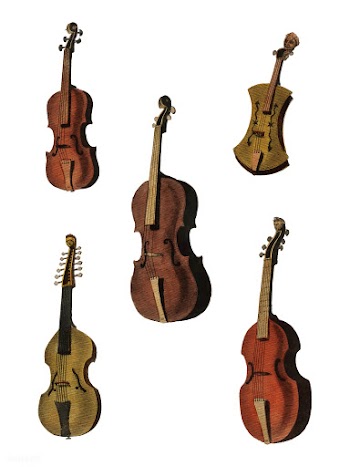 A collection of antique violin, viola, cello .. | Free stock vector - 471422