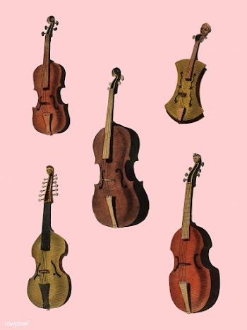 A collection of antique violin, viola, cello .. | Free stock vector - 471477