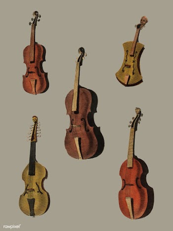 A collection of antique violin, viola, cello .. | Free stock vector - 471480