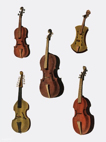 A collection of antique violin, viola, cello .. | Free stock vector - 471490