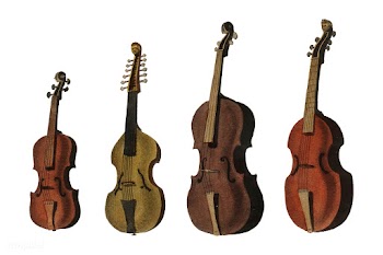 A collection of antique violin, viola, cello .. | Free stock vector - 471504