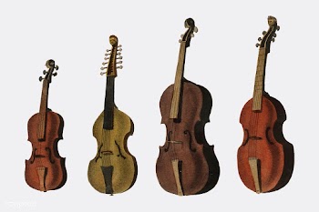 A collection of antique violin, viola, cello .. | Free stock vector - 471536