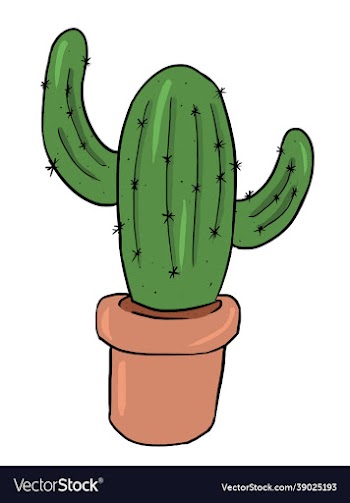a colored drawing cactus plant
