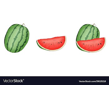 a colored hand drawn collection watermelon