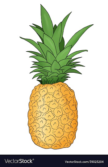 a colored hand drawn pineapple fruit