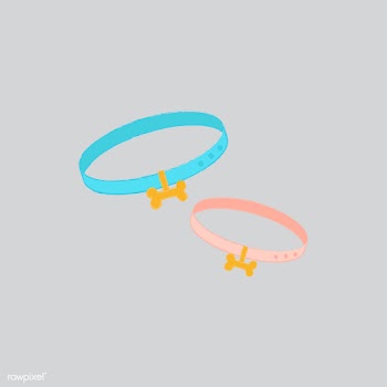 A couple of pet collars | Free stock vector - 60497