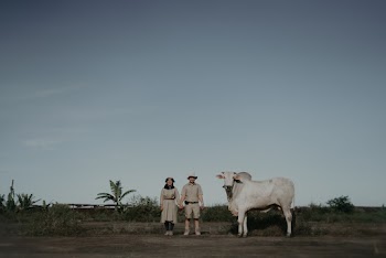A Couple Posing Beside A Cow