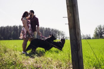 A couple with two dogs 2