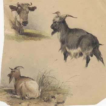 A cow and Two Goats | Free Photo - rawpixel