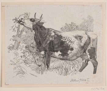 A cow stripping the branches | Free Photo - rawpixel
