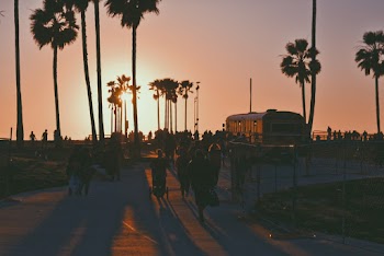 A Crowd Of Walking On The Walkway  Of A Park