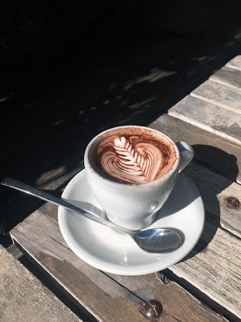 A Cup of Cappuccino on Wooden Table
