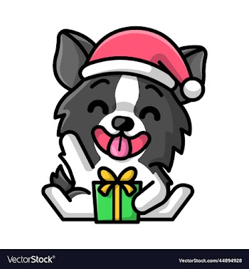 a cute border collie dog is wearing a santa hat
