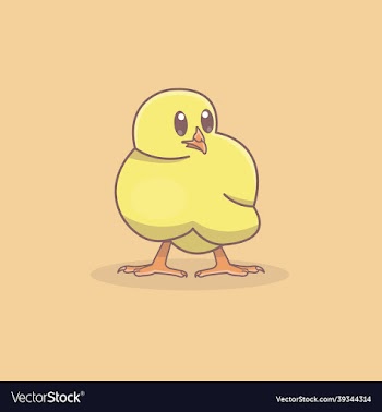 a cute yellow chicken