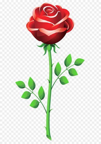 A Delightful Valentine's Day Menu Dinner Breakfast - Rose PNG Clipart Picture 