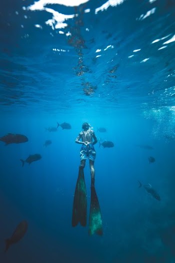 A diver swims underwater with tropical fish in the Maldives