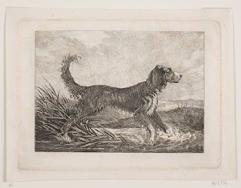 A dogReviewed by contributorsThis translation | Free Photo - rawpixel