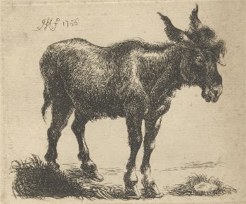 A Donkey | Free Photo - rawpixel